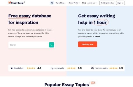 StudyCorgi ChatGPT Detector